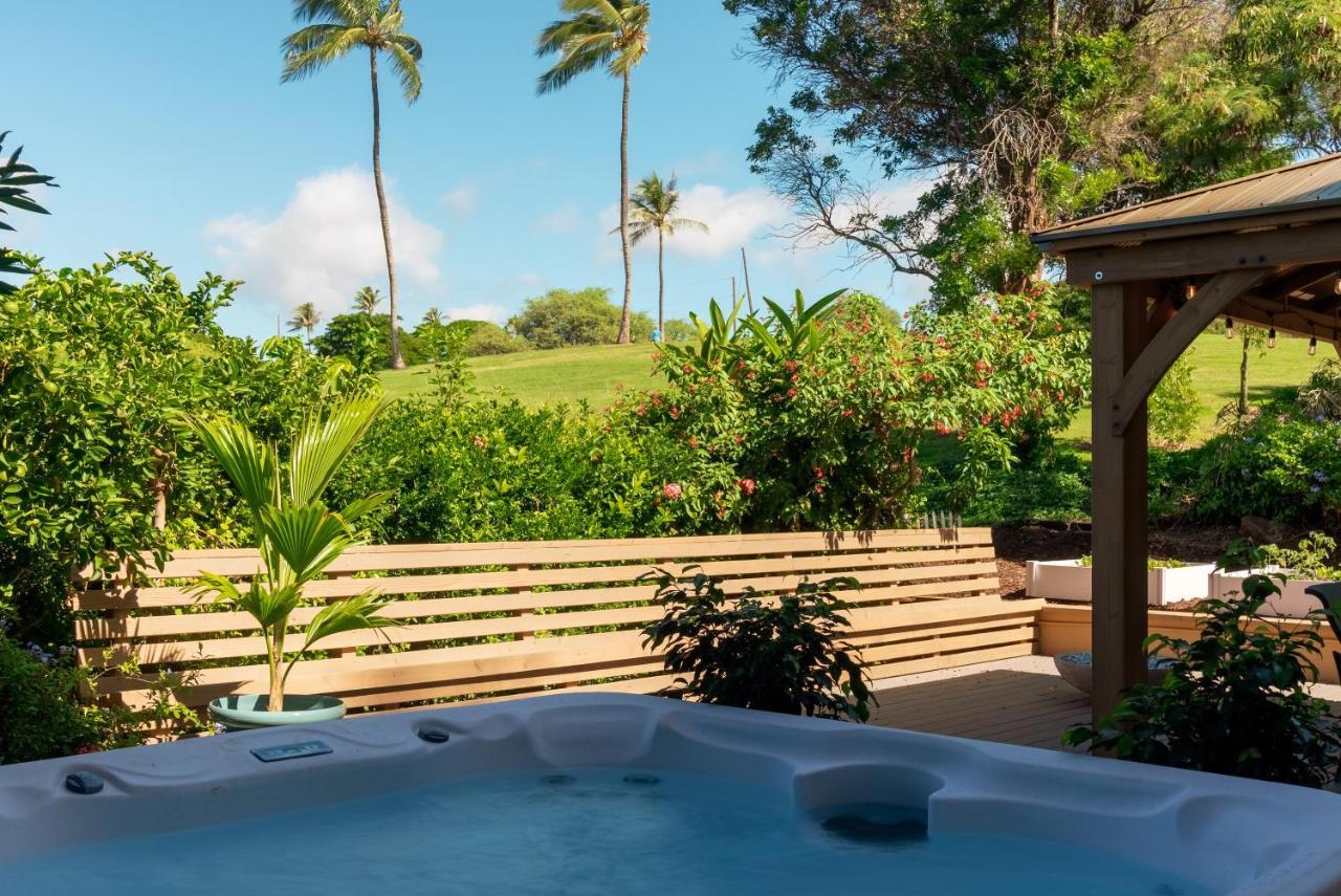 Noahs Hideaway Luxury B&B Lahaina Dış mekan fotoğraf