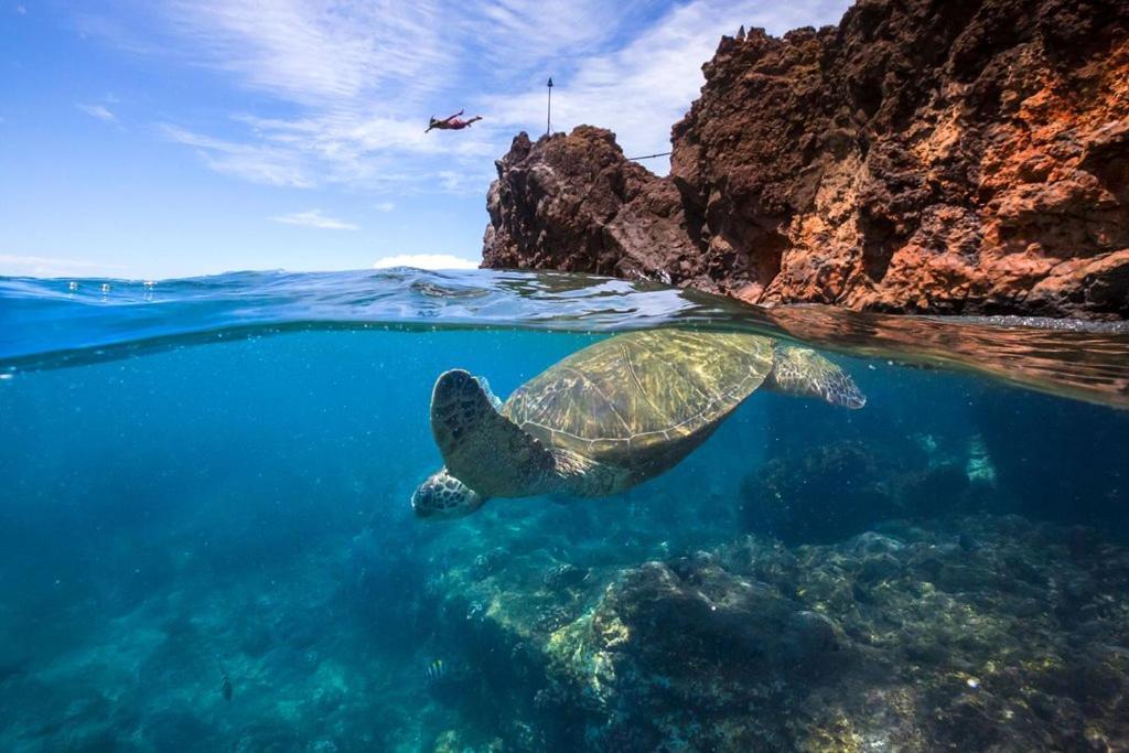 Noahs Hideaway Luxury B&B Lahaina Dış mekan fotoğraf